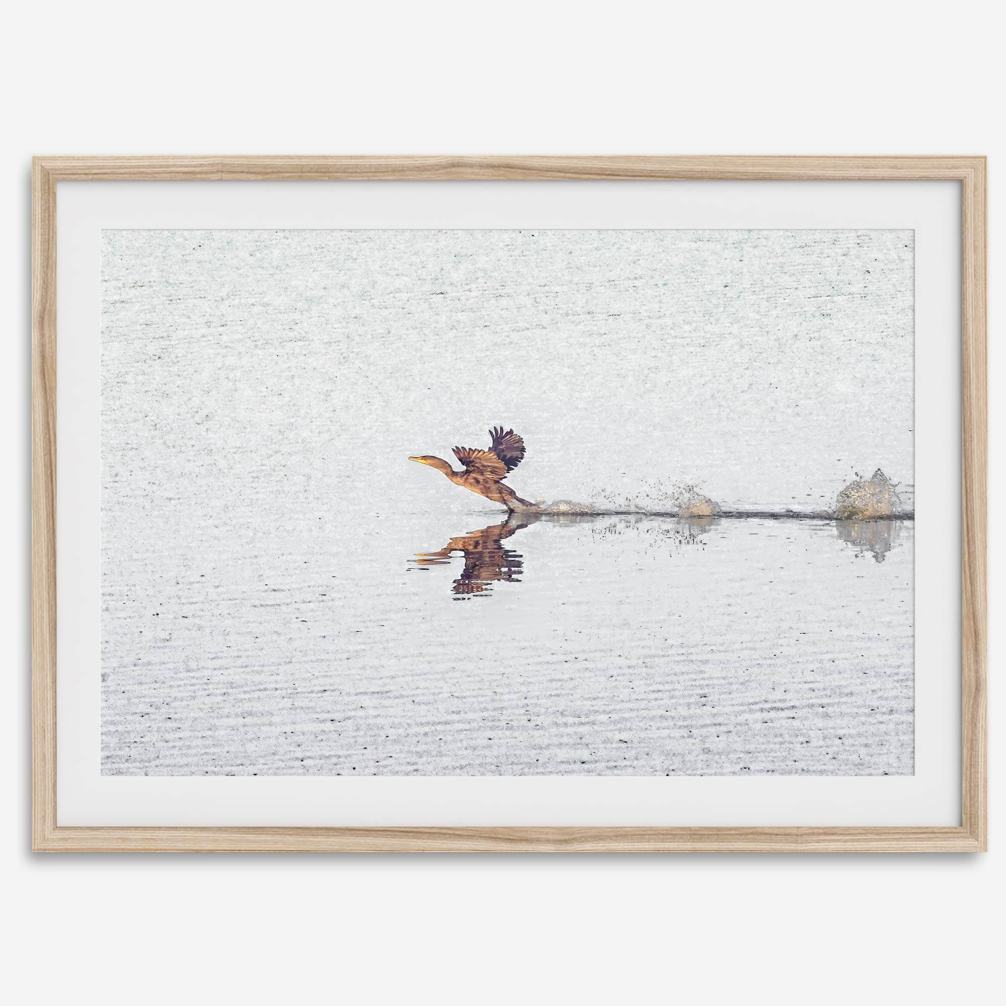 A fine art minimalist wildlife photography print showcasing a bird flying over a lake in Arizona.