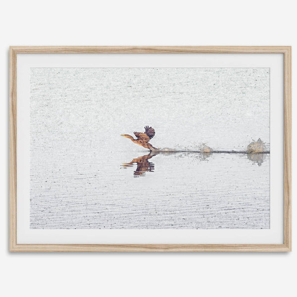 A fine art minimalist wildlife photography print showcasing a bird flying over a lake in Arizona.