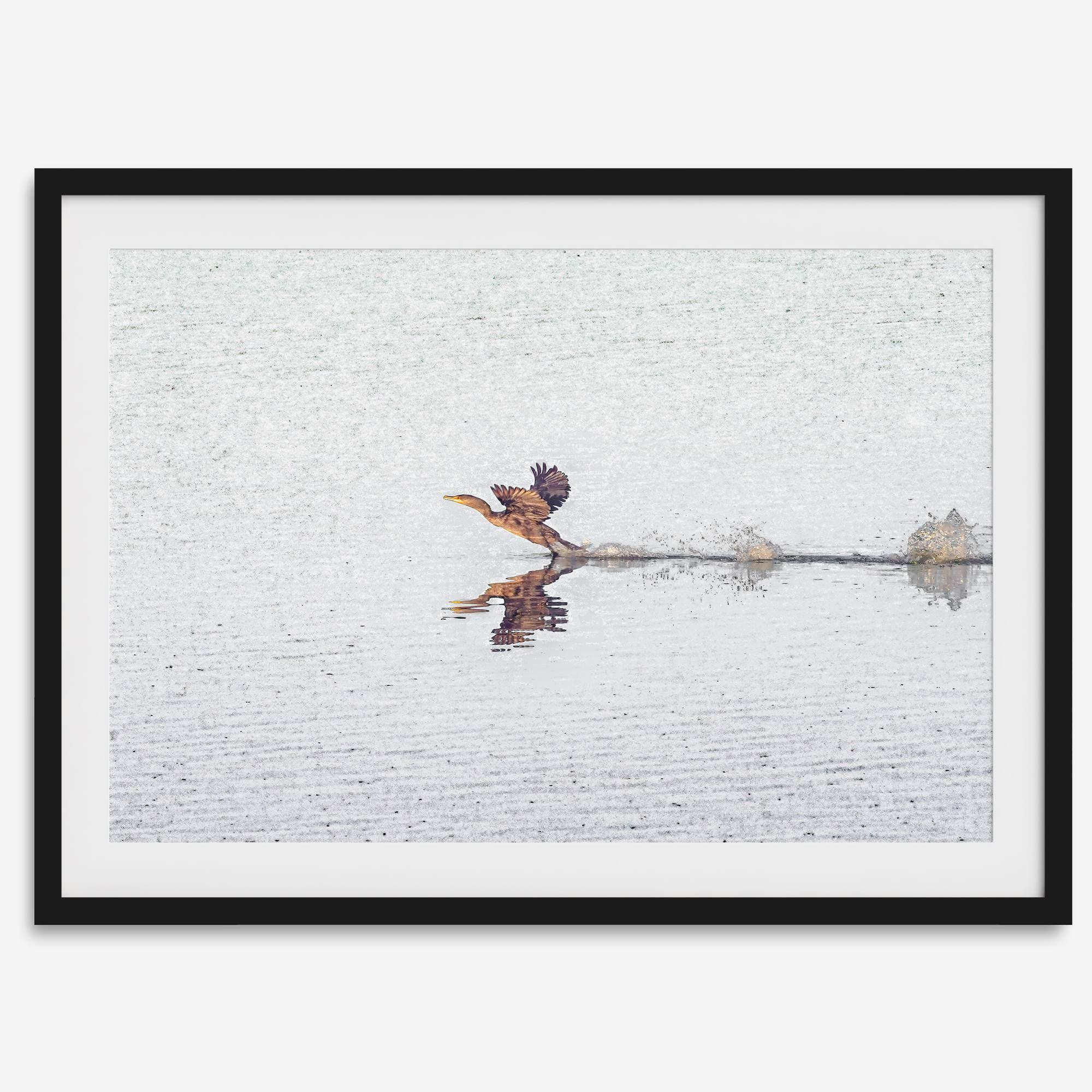A fine art minimalist wildlife photography print showcasing a bird flying over a lake in Arizona.