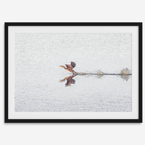 A fine art minimalist wildlife photography print showcasing a bird flying over a lake in Arizona.