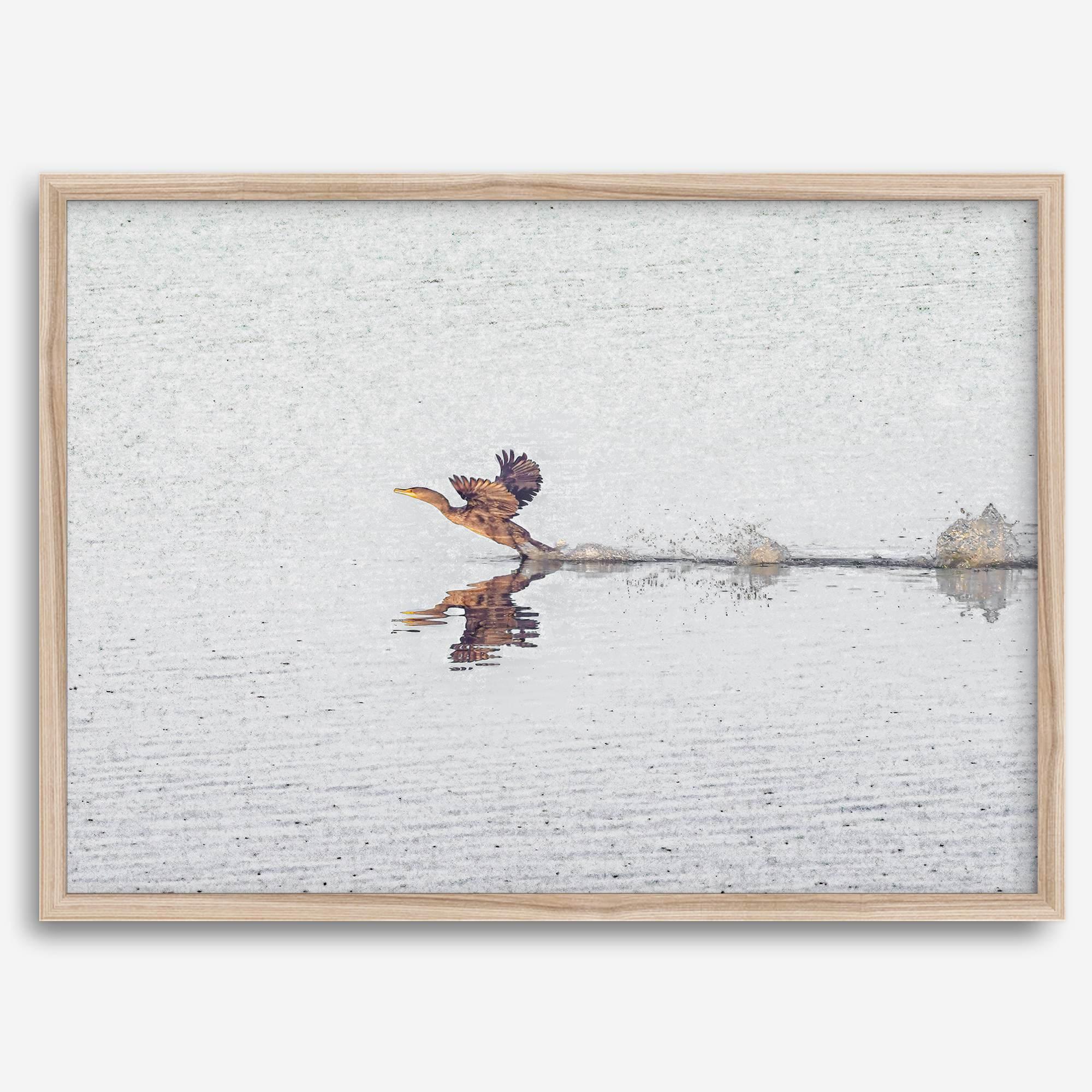 A fine art minimalist wildlife photography print showcasing a bird flying over a lake in Arizona.