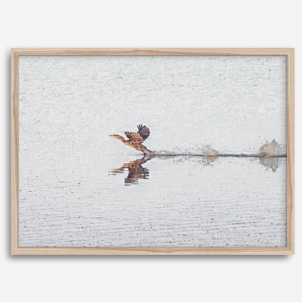 A fine art minimalist wildlife photography print showcasing a bird flying over a lake in Arizona.