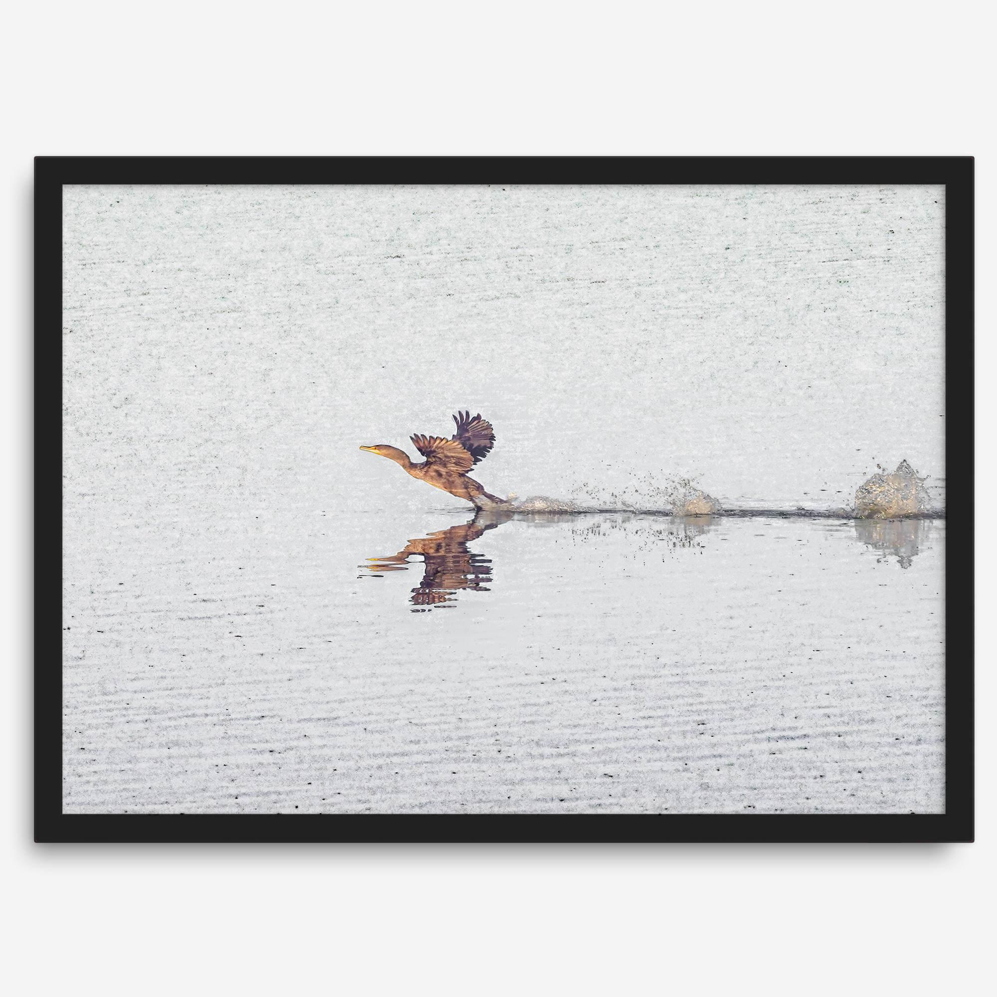 A fine art minimalist wildlife photography print showcasing a bird flying over a lake in Arizona.