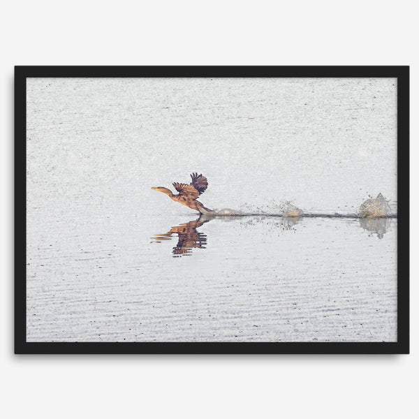 A fine art minimalist wildlife photography print showcasing a bird flying over a lake in Arizona.