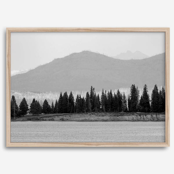 Abstract nature art of a forested island on Yellowstone Lake with black-and-white photography and misty mountains.