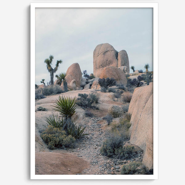 Fine Art California Desert Print - Extra Large Desert Photography Wall Art, Framed Joshua Tree National Park Poster for Wall Decor