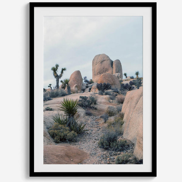 Fine Art California Desert Print - Extra Large Desert Photography Wall Art, Framed Joshua Tree National Park Poster for Wall Decor
