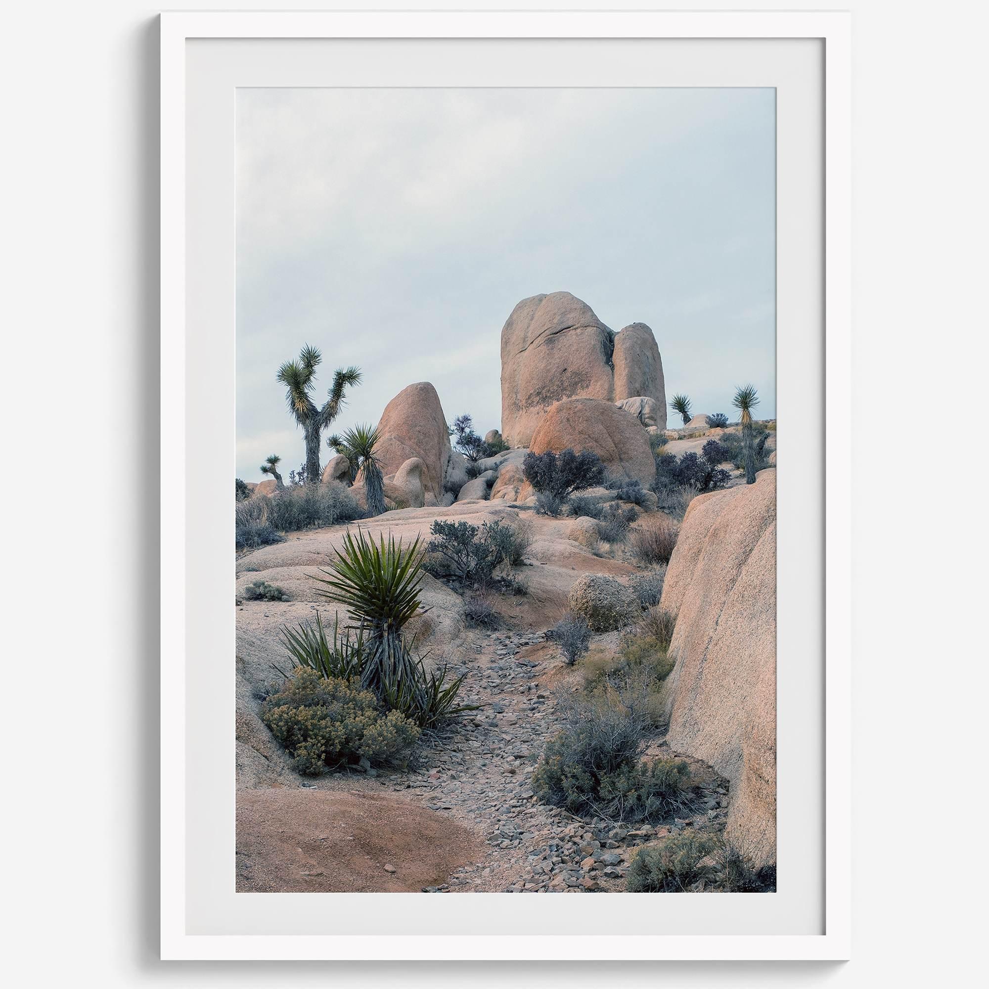 Fine Art California Desert Print - Extra Large Desert Photography Wall Art, Framed Joshua Tree National Park Poster for Wall Decor
