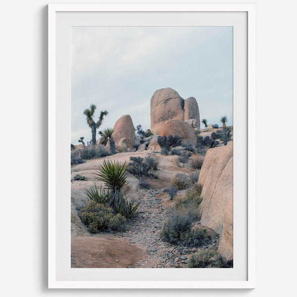 Fine Art California Desert Print - Extra Large Desert Photography Wall Art, Framed Joshua Tree National Park Poster for Wall Decor