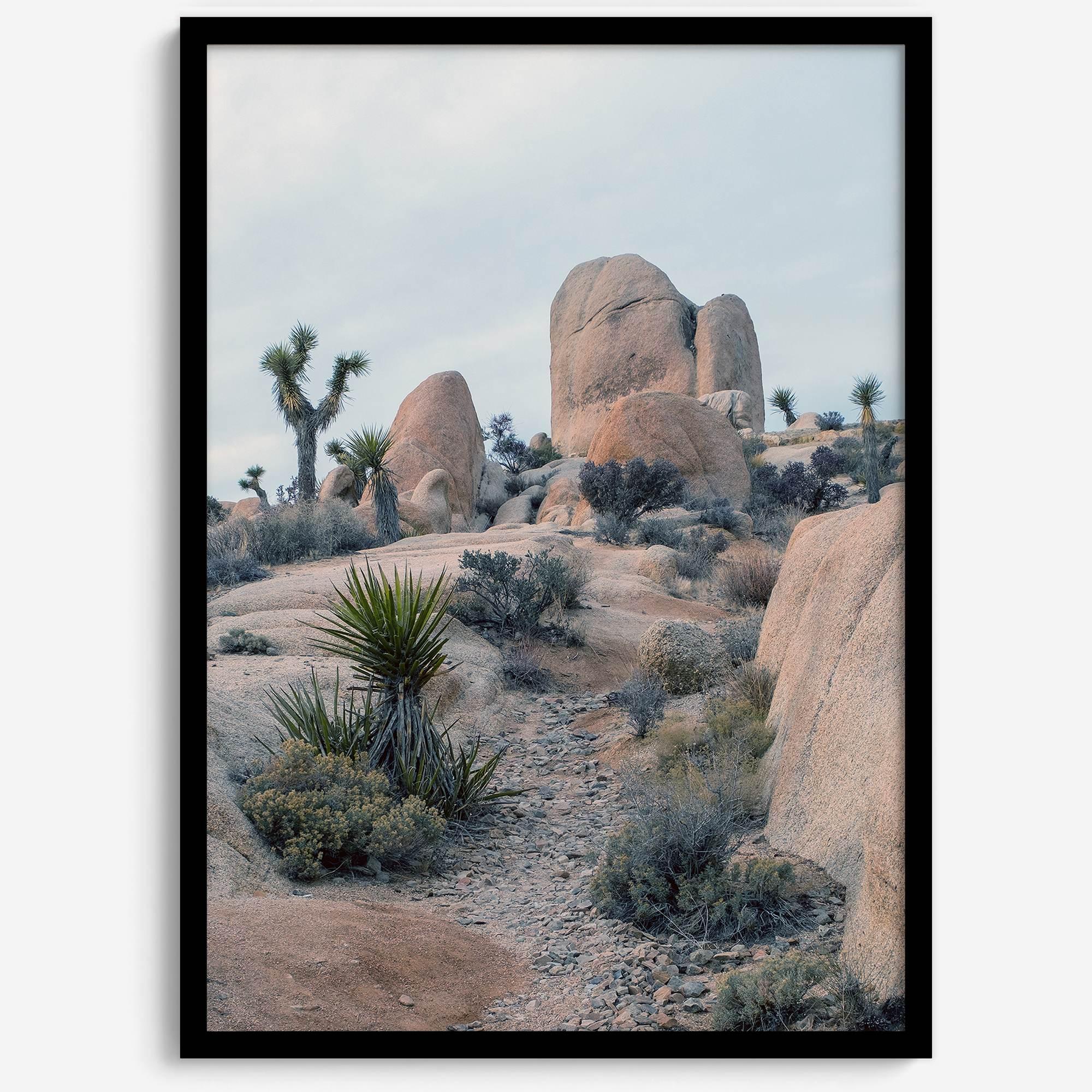 Fine Art California Desert Print - Extra Large Desert Photography Wall Art, Framed Joshua Tree National Park Poster for Wall Decor