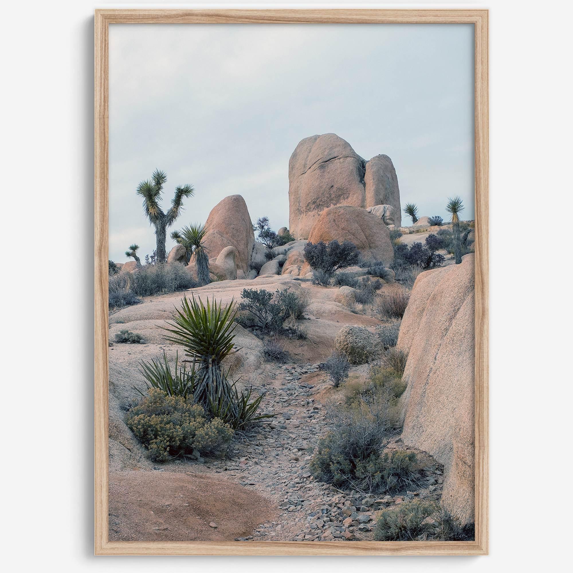 Fine Art California Desert Print - Extra Large Desert Photography Wall Art, Framed Joshua Tree National Park Poster for Wall Decor
