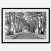 A fine art unframed or framed black and white coastal print of a breathtaking cypress tree tunnel in Point Reyes, California, near San Francisco.