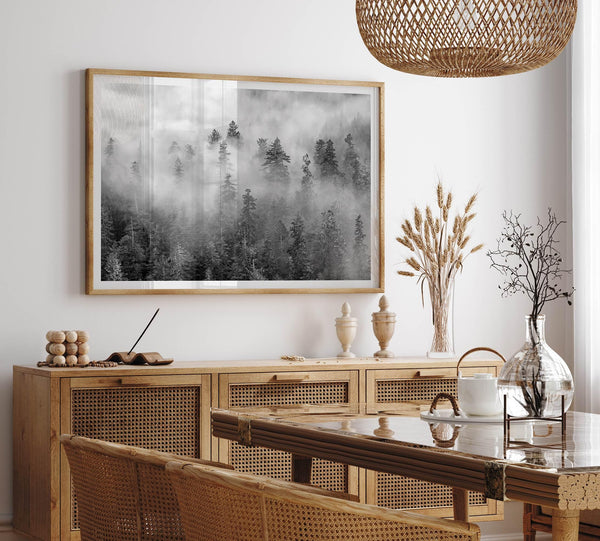 Monochrome foggy forest scene with tall pine trees fading into mist.