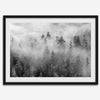 Monochrome foggy forest scene with tall pine trees fading into mist.