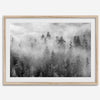 Monochrome foggy forest scene with tall pine trees fading into mist.