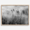 Monochrome foggy forest scene with tall pine trees fading into mist.