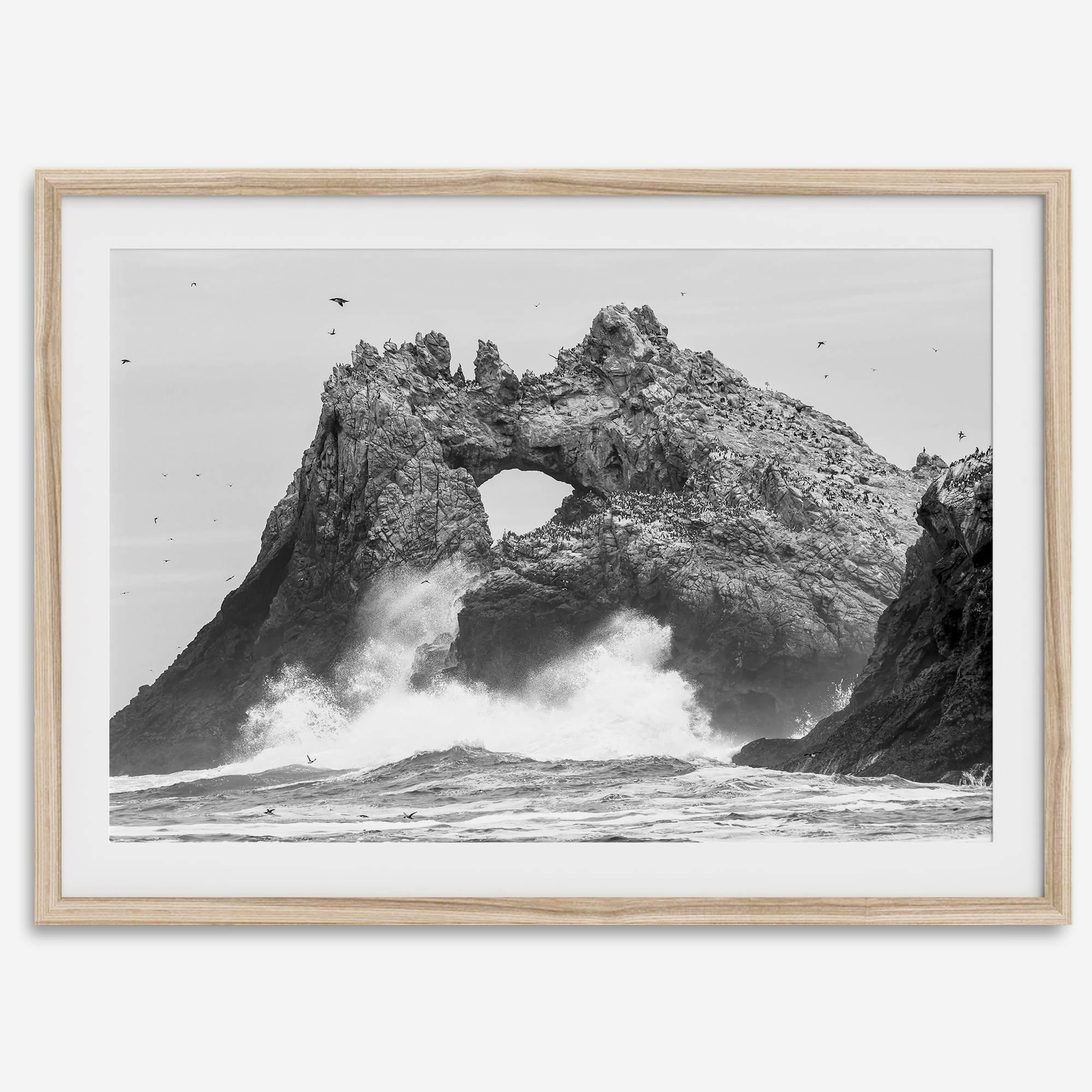 A fine art dramatic moody beach print featuring the stunning Farallon Islands near San Francisco with waves crashing against the rocks and hundreds of birds flying around.