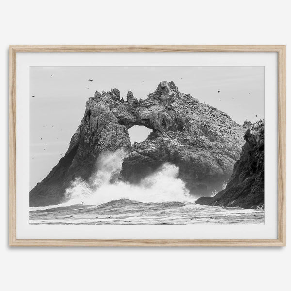 A fine art dramatic moody beach print featuring the stunning Farallon Islands near San Francisco with waves crashing against the rocks and hundreds of birds flying around.