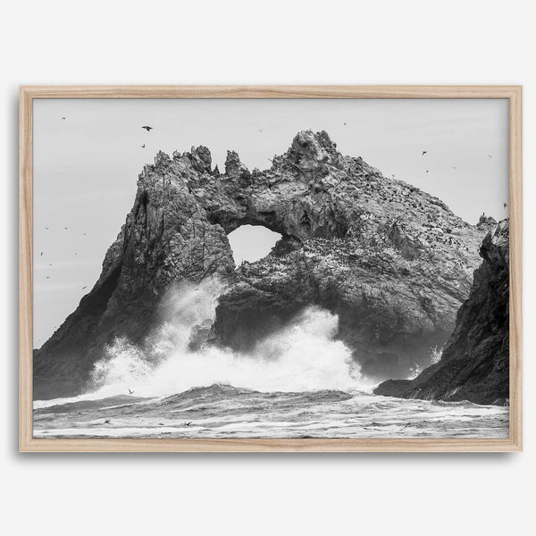 A fine art dramatic moody beach print featuring the stunning Farallon Islands near San Francisco with waves crashing against the rocks and hundreds of birds flying around.