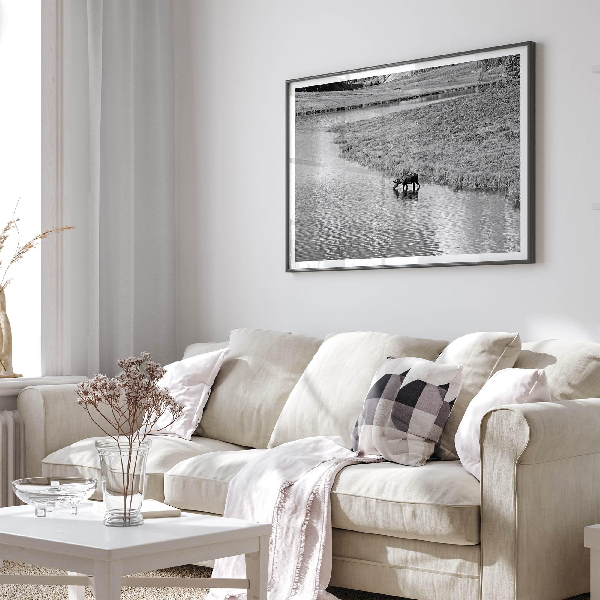 Capture the spirit of Rocky Mountain National Park with this black and white fine art Moose photo print. A majestic Moose stands drinking from the valley river. A timeless nature wall art that transports you to the calming beauty of Colorado.