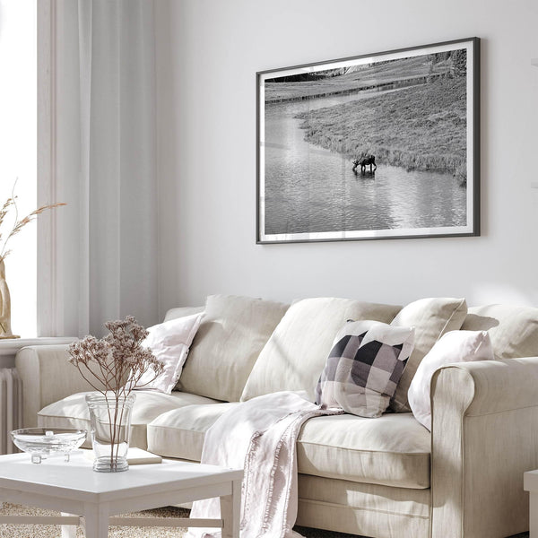 Capture the spirit of Rocky Mountain National Park with this black and white fine art Moose photo print. A majestic Moose stands drinking from the valley river. A timeless nature wall art that transports you to the calming beauty of Colorado.