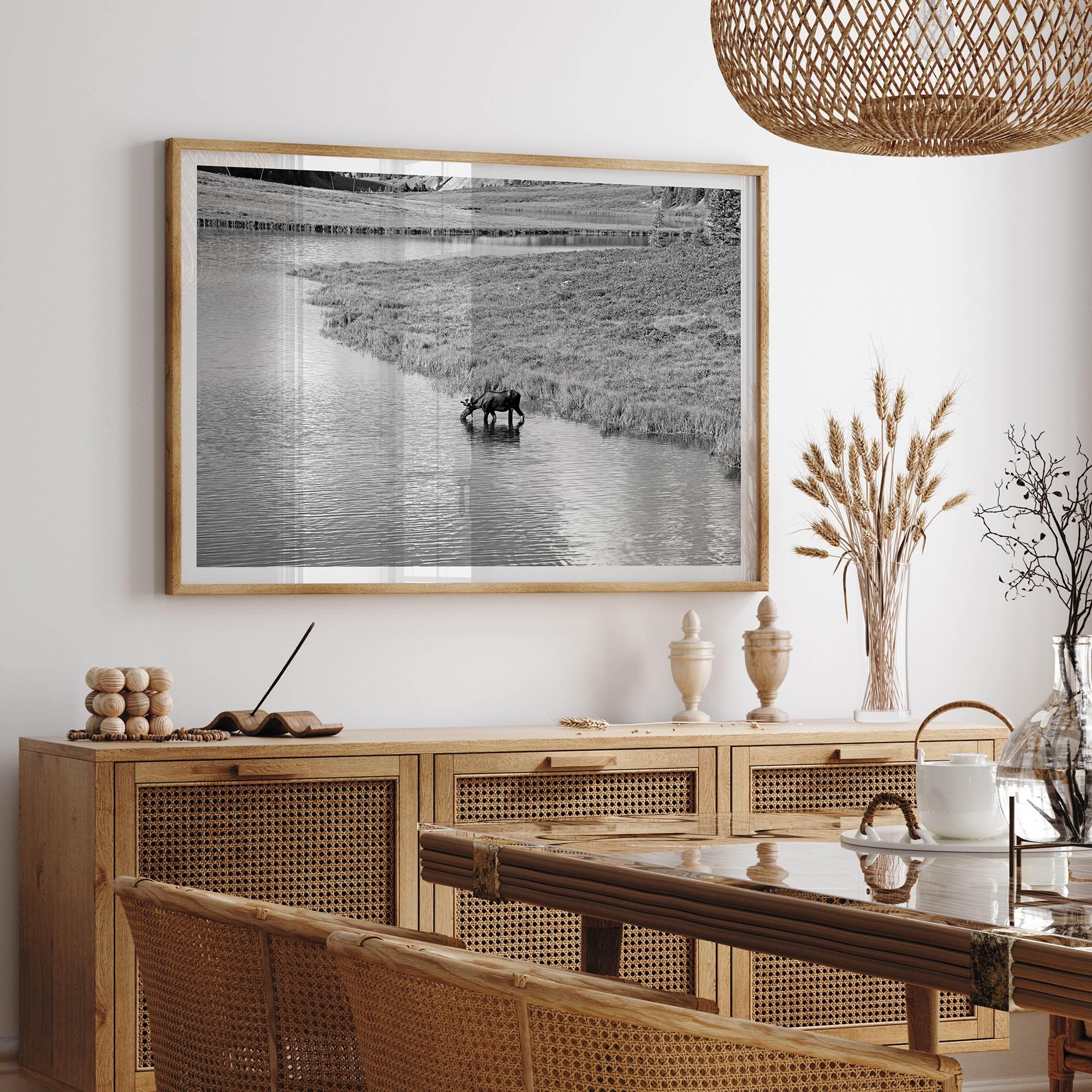 Capture the spirit of Rocky Mountain National Park with this black and white fine art Moose photo print. A majestic Moose stands drinking from the valley river. A timeless nature wall art that transports you to the calming beauty of Colorado.