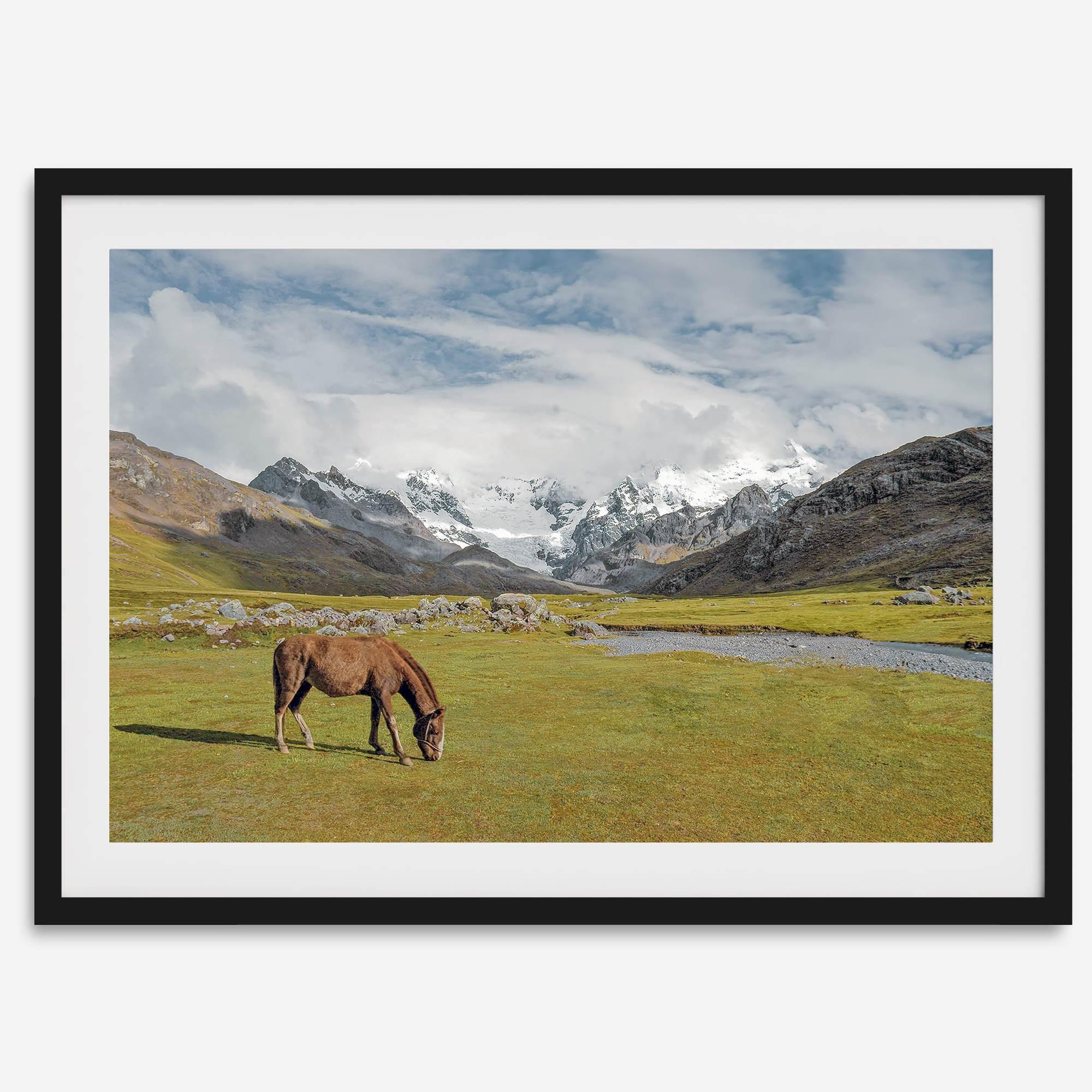 This stunning piece of mountain Horse wall art was taken in Peru and showcases beautiful snow-covered mountains and grassy meadows in Peru and a charming horse grazing relaxingly in the forefront of the picture.
