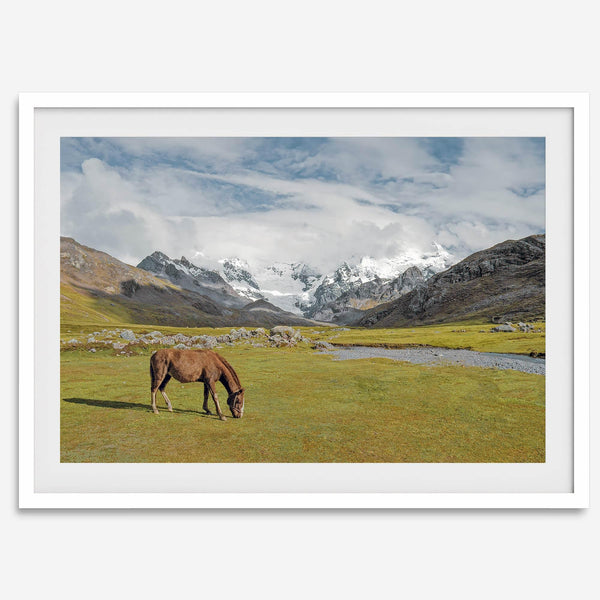 This stunning piece of mountain Horse wall art was taken in Peru and showcases beautiful snow-covered mountains and grassy meadows in Peru and a charming horse grazing relaxingly in the forefront of the picture.
