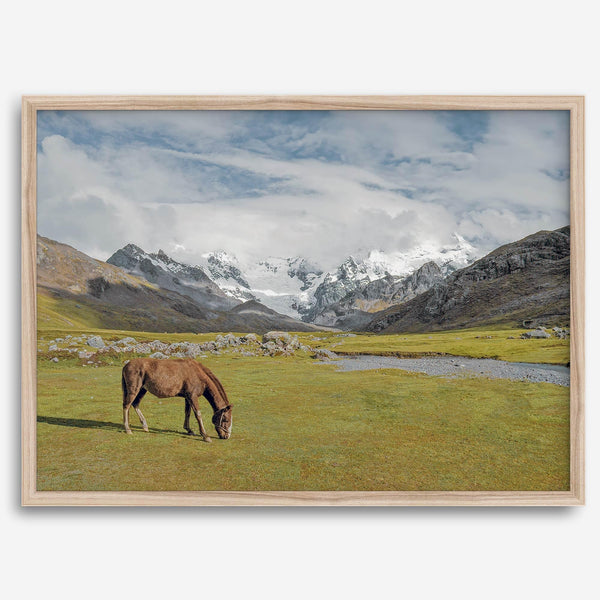 This stunning piece of mountain Horse wall art was taken in Peru and showcases beautiful snow-covered mountains and grassy meadows in Peru and a charming horse grazing relaxingly in the forefront of the picture.