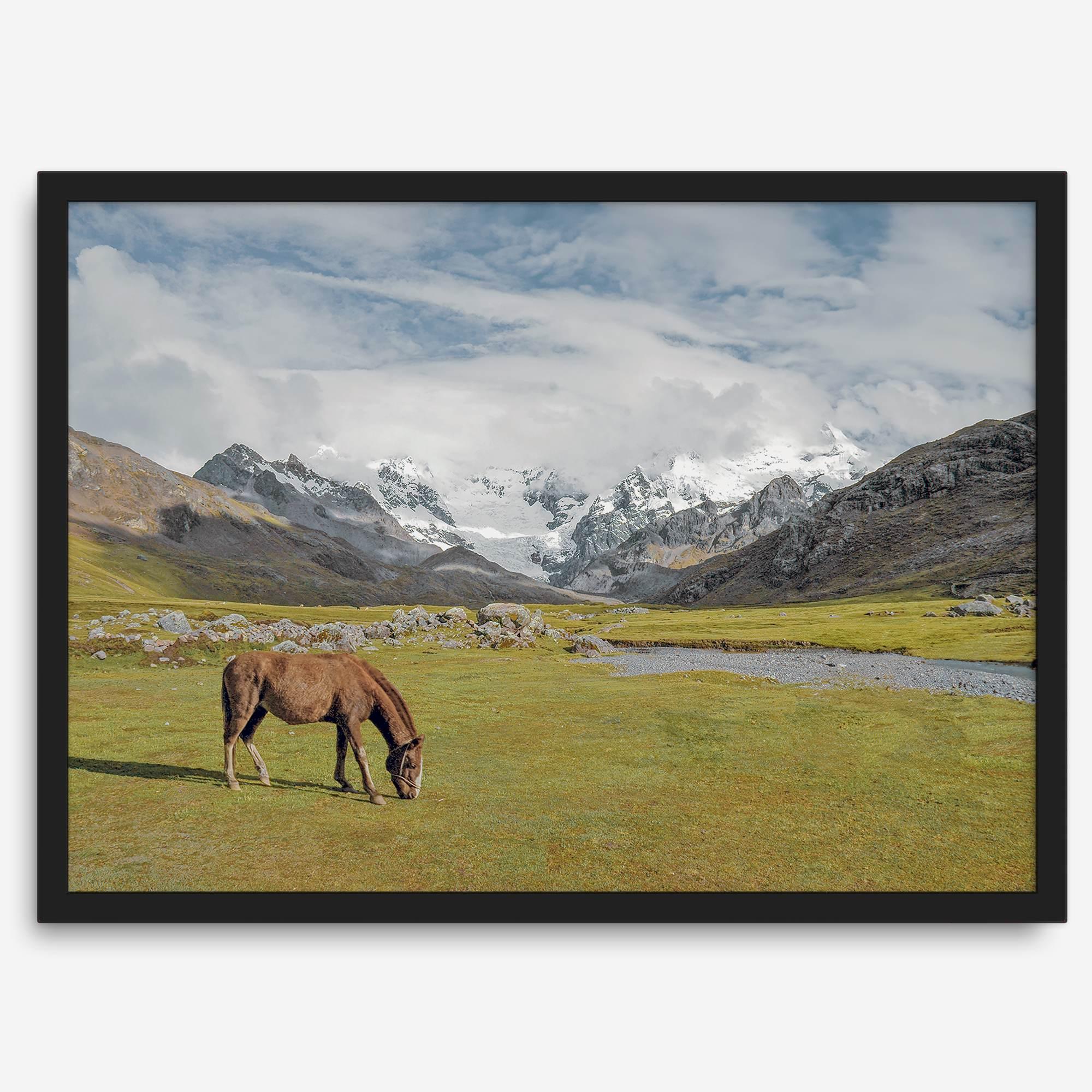 This stunning piece of mountain Horse wall art was taken in Peru and showcases beautiful snow-covered mountains and grassy meadows in Peru and a charming horse grazing relaxingly in the forefront of the picture.