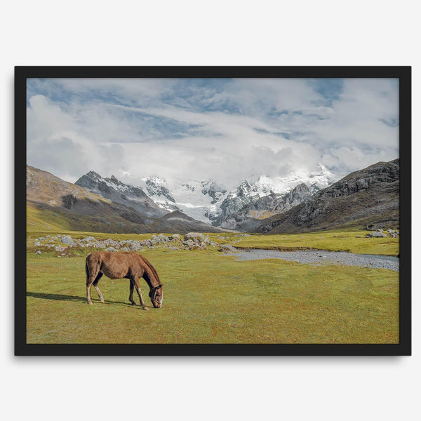 This stunning piece of mountain Horse wall art was taken in Peru and showcases beautiful snow-covered mountains and grassy meadows in Peru and a charming horse grazing relaxingly in the forefront of the picture.