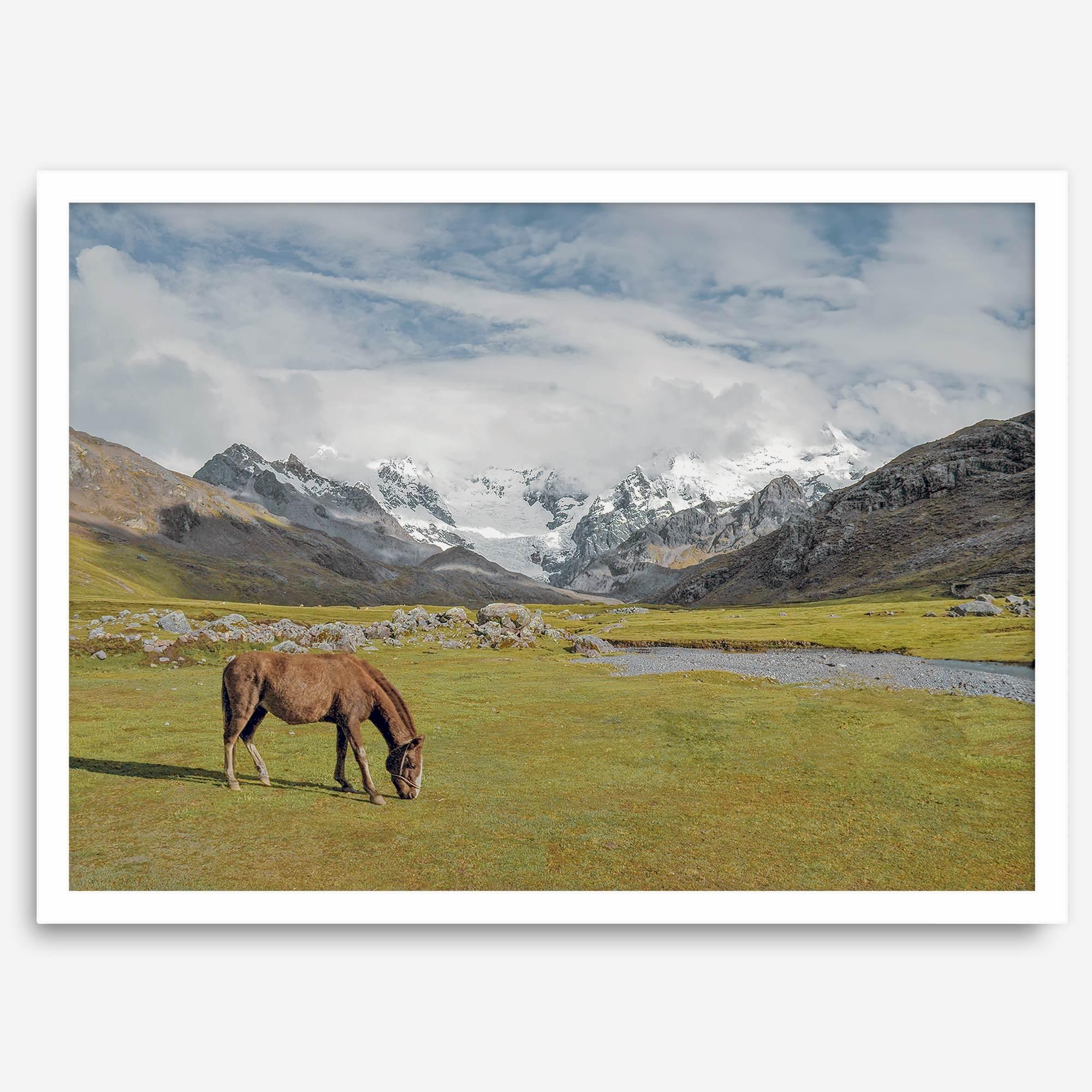 This stunning piece of mountain Horse wall art was taken in Peru and showcases beautiful snow-covered mountains and grassy meadows in Peru and a charming horse grazing relaxingly in the forefront of the picture.