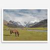 This stunning piece of mountain Horse wall art was taken in Peru and showcases beautiful snow-covered mountains and grassy meadows in Peru and a charming horse grazing relaxingly in the forefront of the picture.