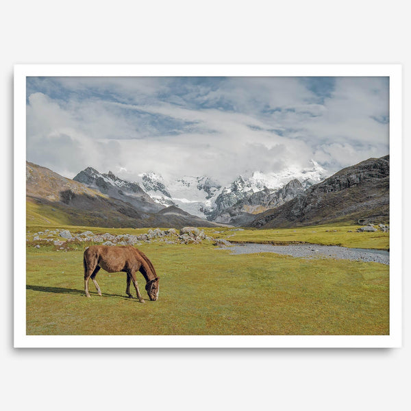 This stunning piece of mountain Horse wall art was taken in Peru and showcases beautiful snow-covered mountains and grassy meadows in Peru and a charming horse grazing relaxingly in the forefront of the picture.