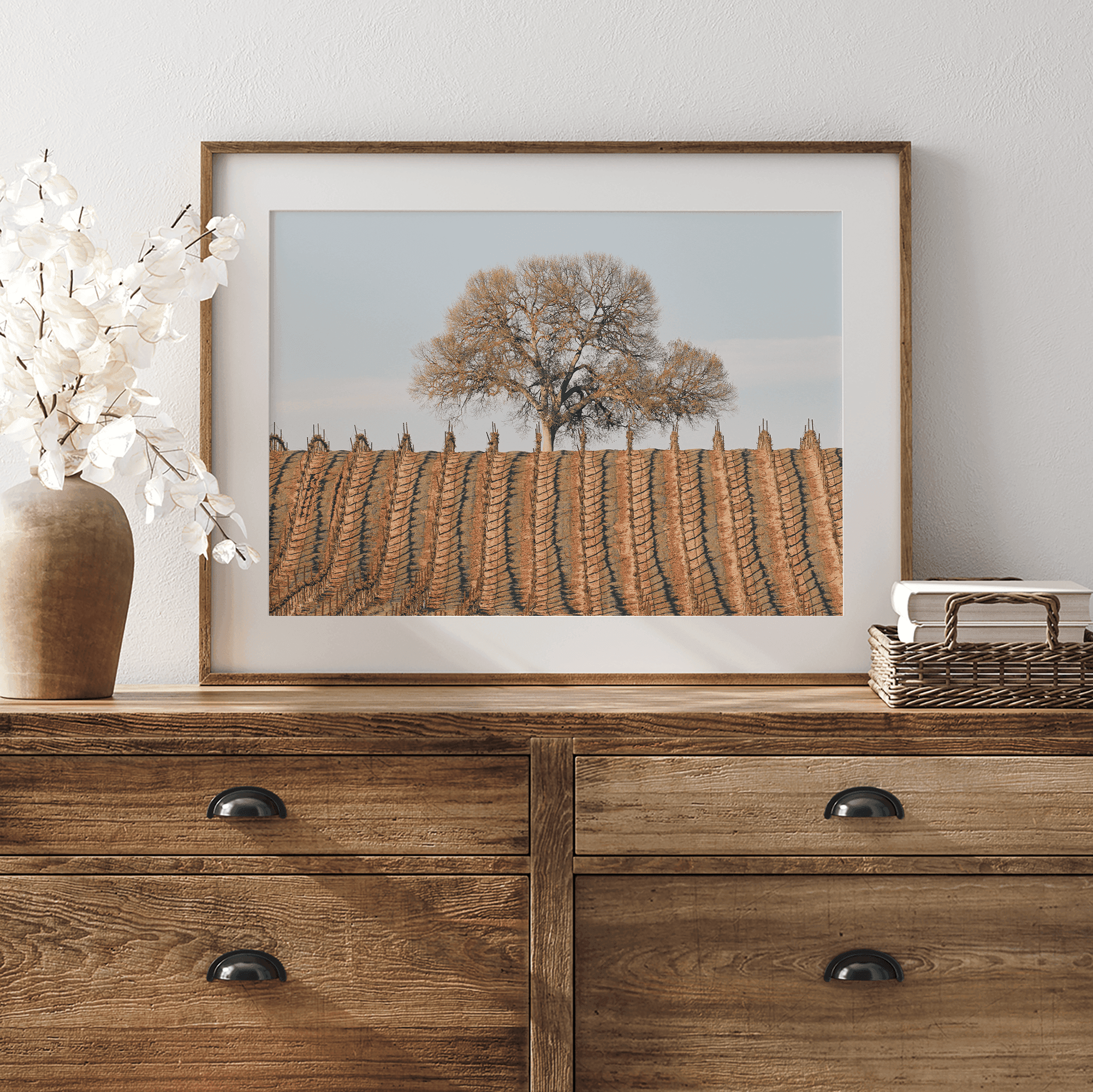 Fine art photo of a lone tree and vineyard rows in Napa Valley, California – titled Wine Country.