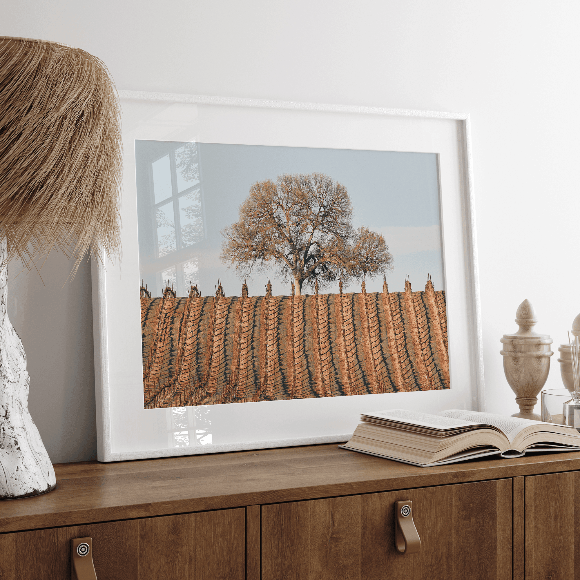 Fine art photo of a lone tree and vineyard rows in Napa Valley, California – titled Wine Country.