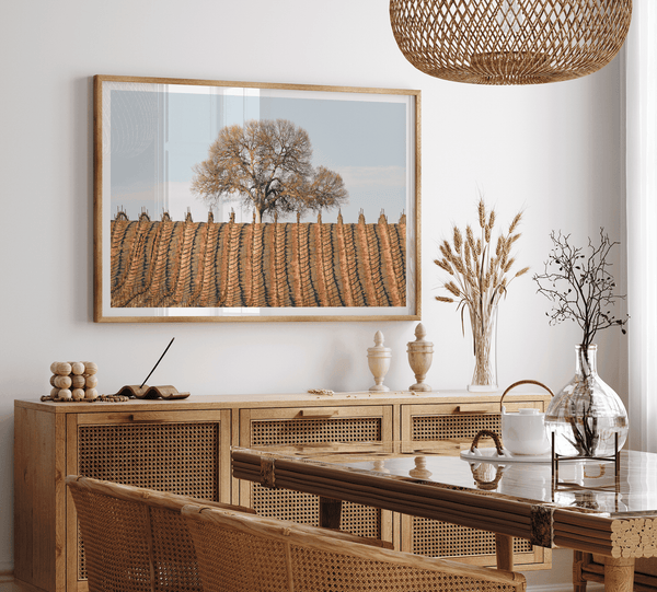 Fine art photo of a lone tree and vineyard rows in Napa Valley, California – titled Wine Country.