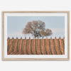 Fine art photo of a lone tree and vineyard rows in Napa Valley, California – titled Wine Country.