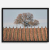 Fine art photo of a lone tree and vineyard rows in Napa Valley, California – titled Wine Country.