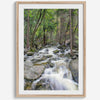 A beautiful river cuts through the forest, shot in long exposure making the water look creamy and calm in this fine art Yosemite National Park print.