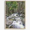 A beautiful river cuts through the forest, shot in long exposure making the water look creamy and calm in this fine art Yosemite National Park print.