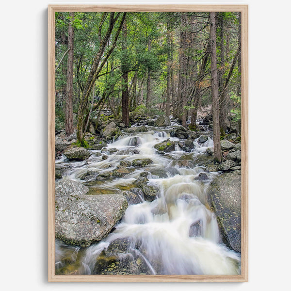 A beautiful river cuts through the forest, shot in long exposure making the water look creamy and calm in this fine art Yosemite National Park print.