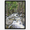 A beautiful river cuts through the forest, shot in long exposure making the water look creamy and calm in this fine art Yosemite National Park print.