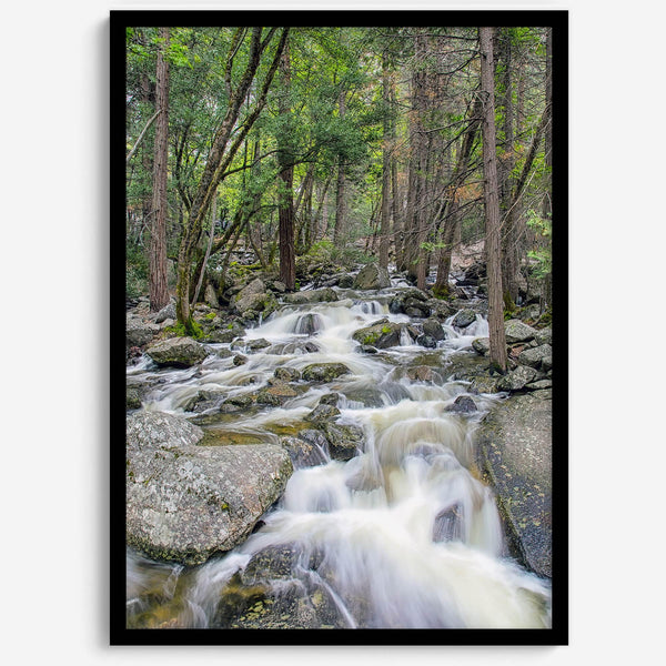 A beautiful river cuts through the forest, shot in long exposure making the water look creamy and calm in this fine art Yosemite National Park print.