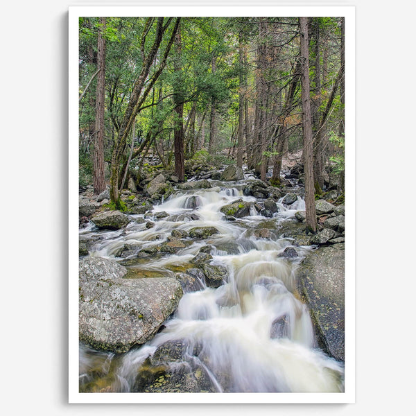 A beautiful river cuts through the forest, shot in long exposure making the water look creamy and calm in this fine art Yosemite National Park print.