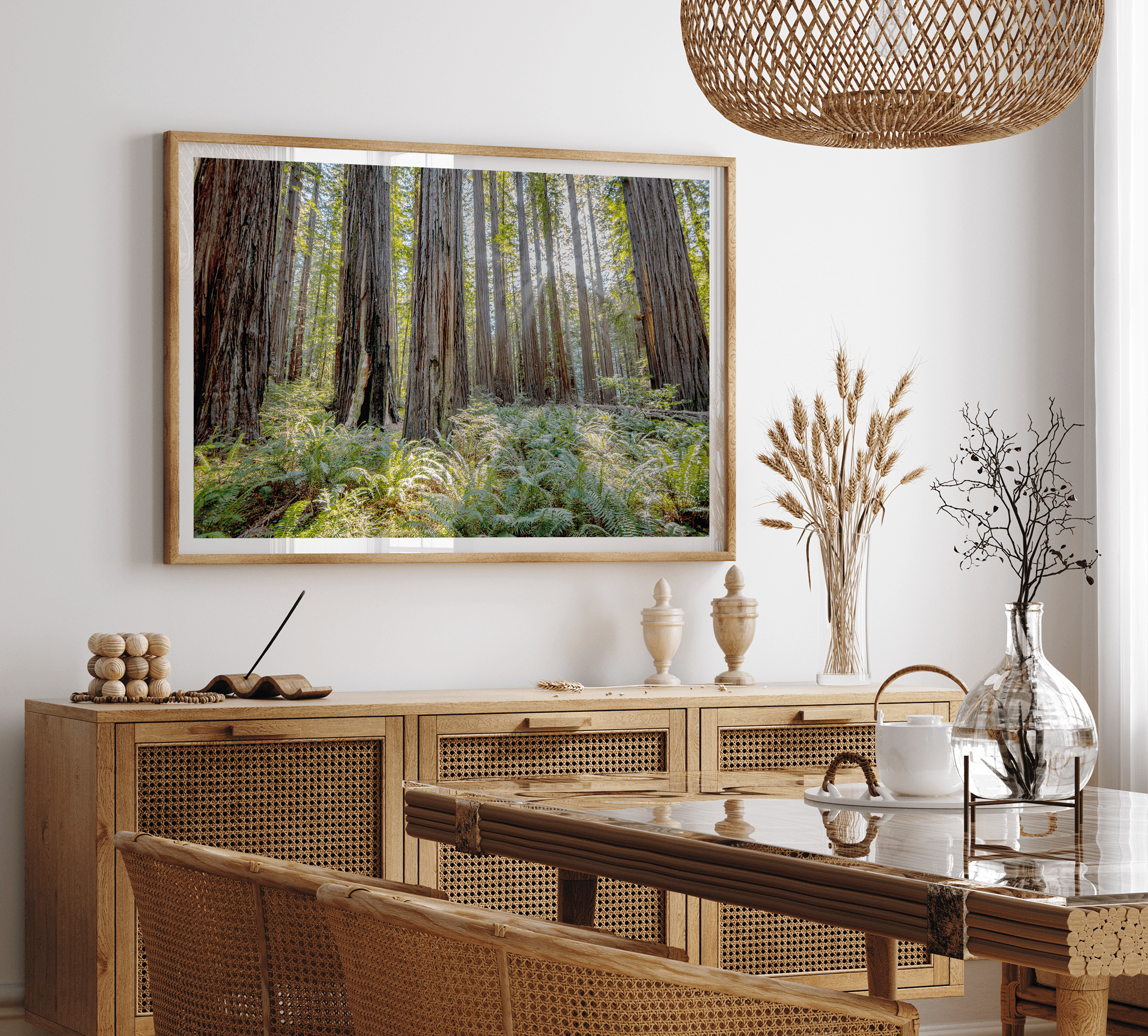 forest wall art - woodland redwoods fine art photography print