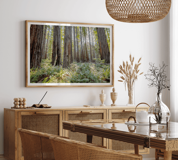 forest wall art - woodland redwoods fine art photography print