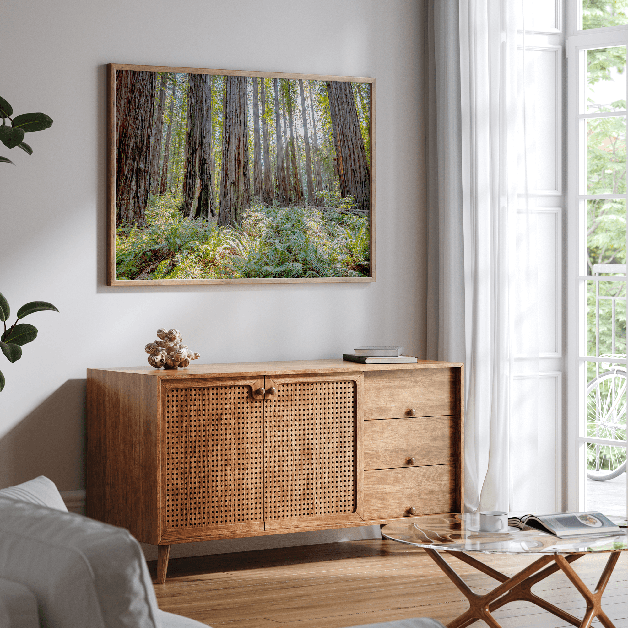 forest wall art - woodland redwoods fine art photography print