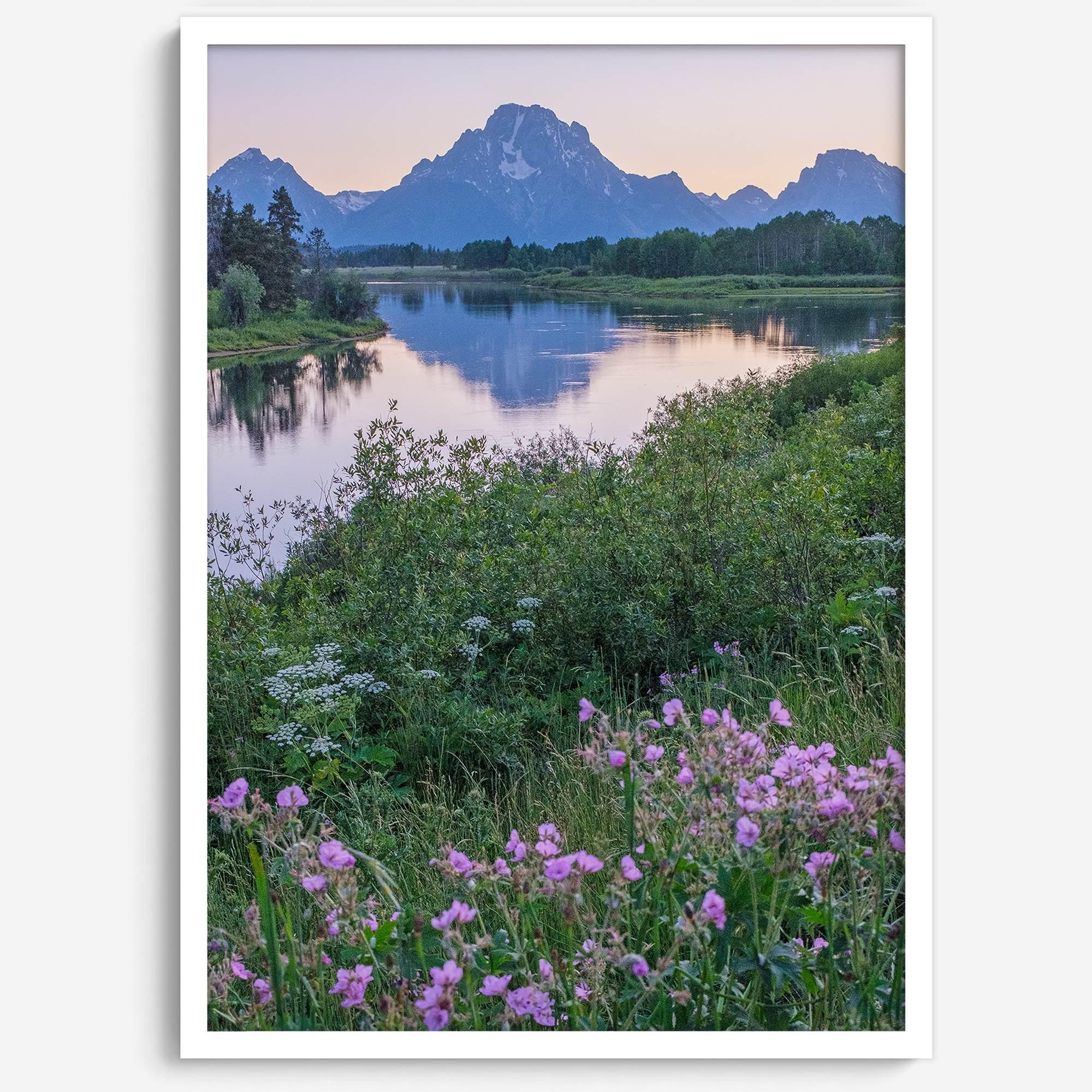 A fine art framed or unframed mountain print of Grand Teton National Park. This portrait orientation nature landscape wall art showcases the beautiful Teton mountains in a pink sunset, with Snake River and stunning flowers in the forefront.