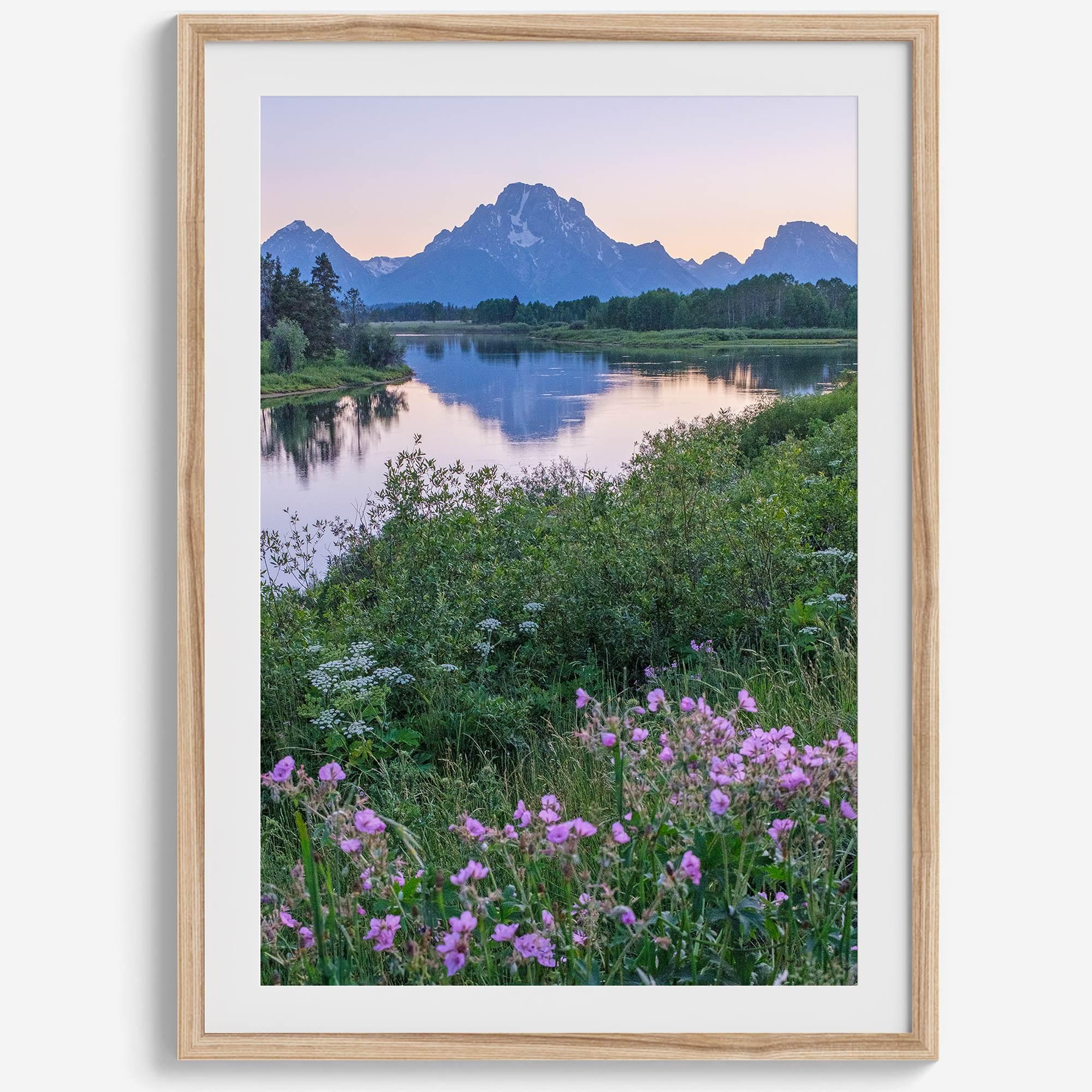 A fine art framed or unframed mountain print of Grand Teton National Park. This portrait orientation nature landscape wall art showcases the beautiful Teton mountains in a pink sunset, with Snake River and stunning flowers in the forefront.